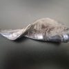 Goat Horn - Image 3