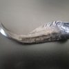 Goat Horn - Image 4