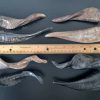 Goat Horn - Image 9