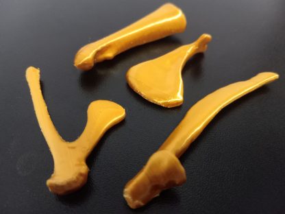 Expansion Bone Set - Colors - Image 21