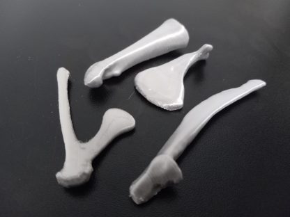 Expansion Bone Set - Colors - Image 6