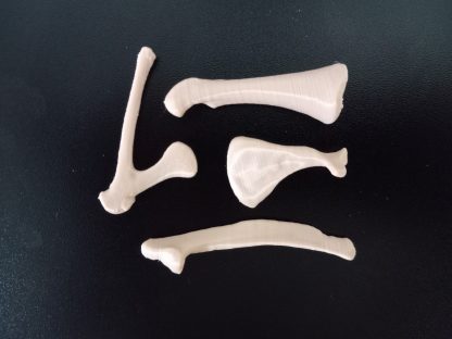 Expansion Bone Set - Colors - Image 4