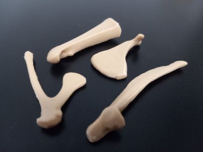 Expansion Bone Set - Colors - Image 3