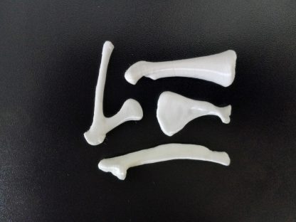 Expansion Bone Set - White - Image 2