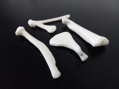 Expansion Bone Set - White