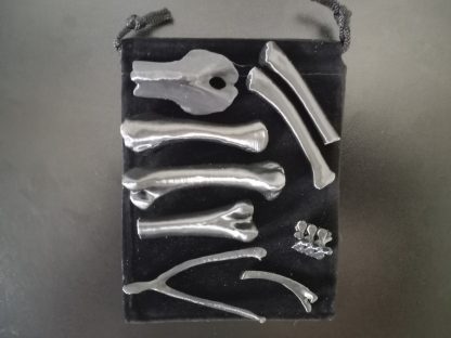 Standard Bone Set - Colors - Image 16