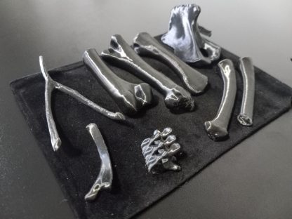 Standard Bone Set - Colors - Image 14