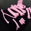 Standard Bone Set - Colors - Image 17
