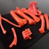 Standard Bone Set - Colors - Image 8