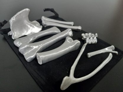 Standard Bone Set - Colors - Image 6