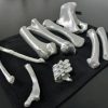 Standard Bone Set - Colors - Image 5