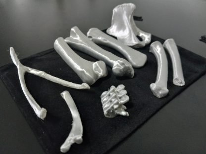 Standard Bone Set - Colors - Image 5