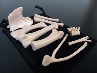 Standard Bone Set - Colors - Image 3