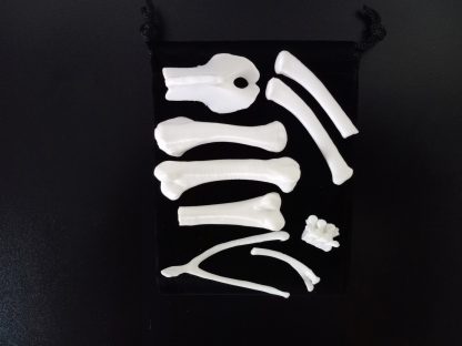 Standard Bone Set - White - Image 2